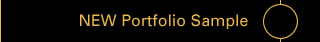 Portfolio Sample