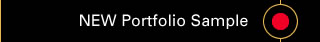Portfolio Sample