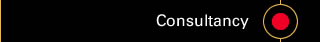 Consultancy